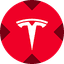 Tesla xStock